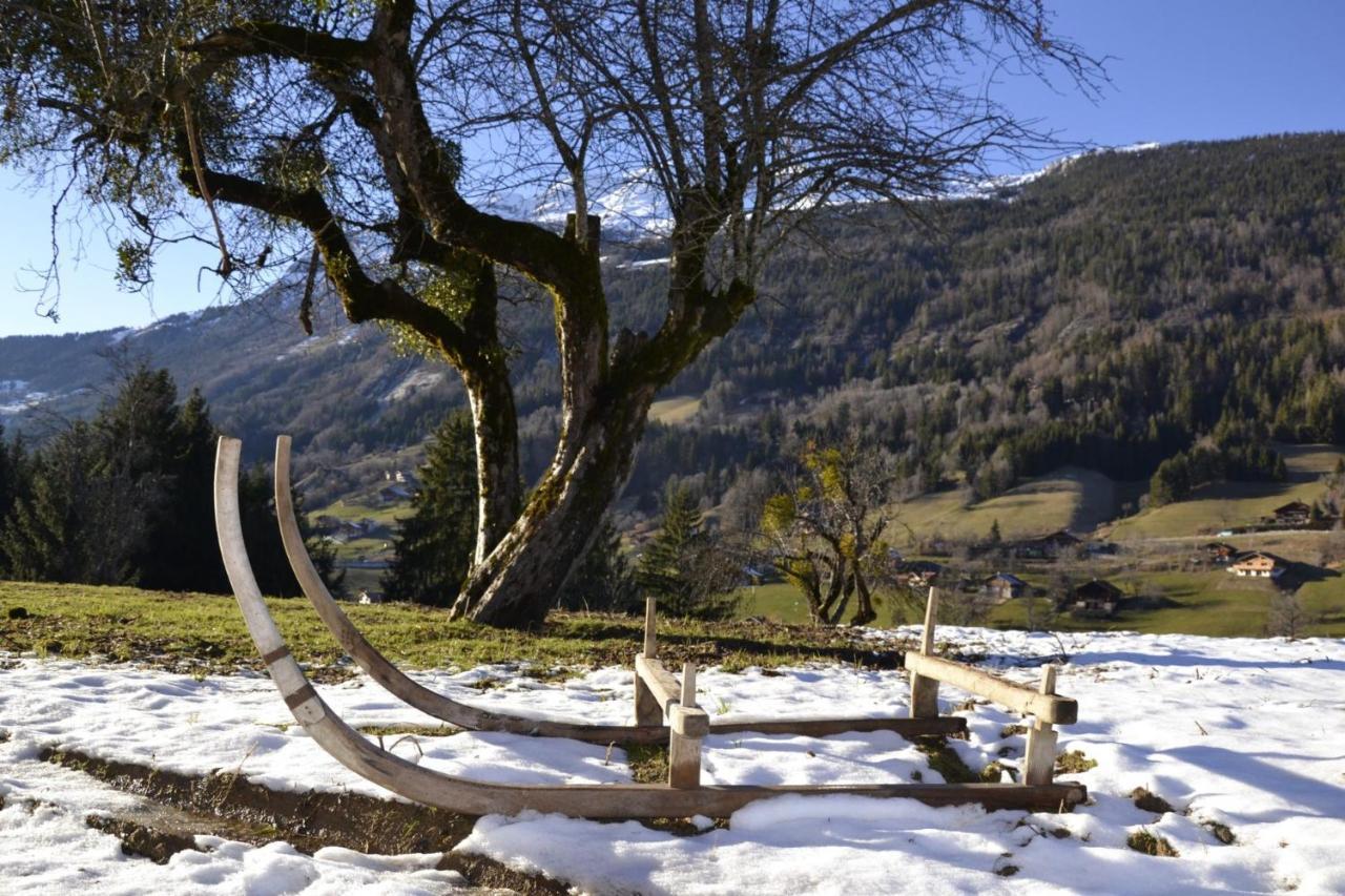 Les Picaillons - Le Chalet Les Villards-sur-Thones Экстерьер фото